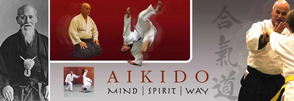 Main image of Laguna Hills Aikikai