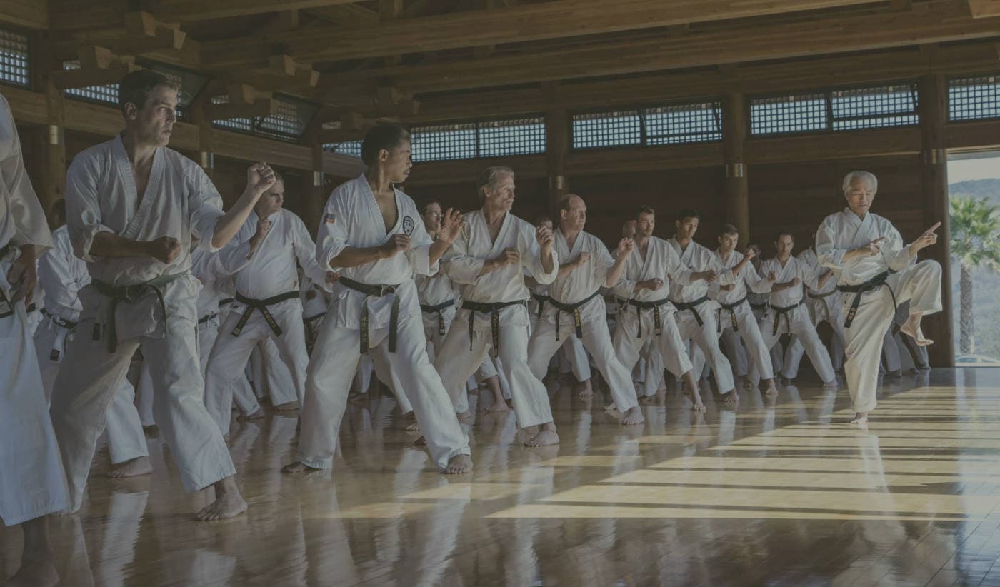 Main image of Lake Forest Shotokan