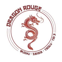 LE DRAGON ROUGE AJACCIO logo