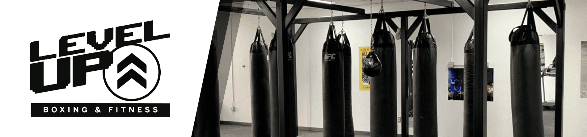 Level Up Boxing and Fitness logo