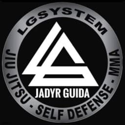 Lg system logo