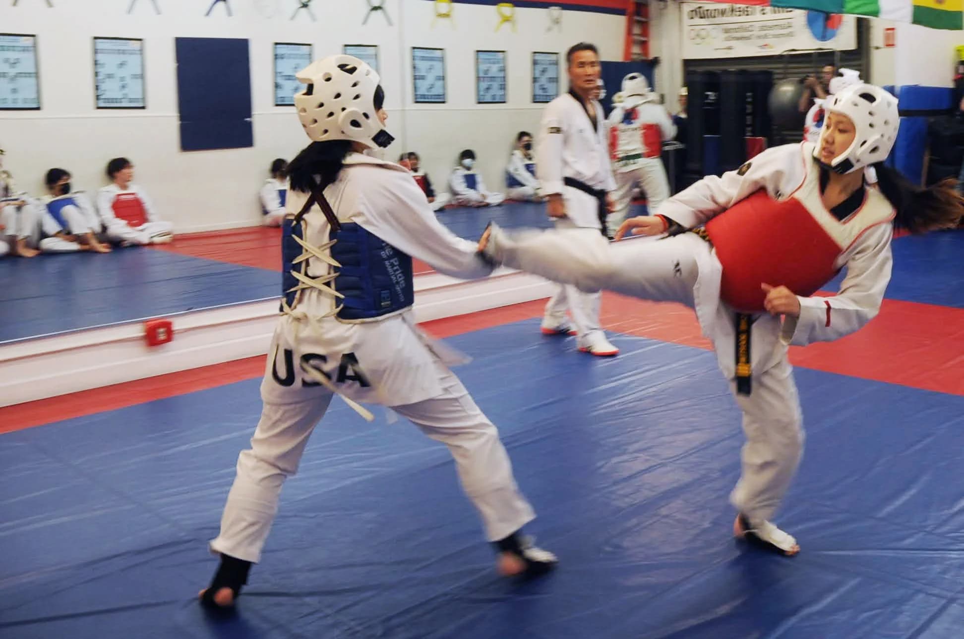Lim's TaeKwonDo Academy logo