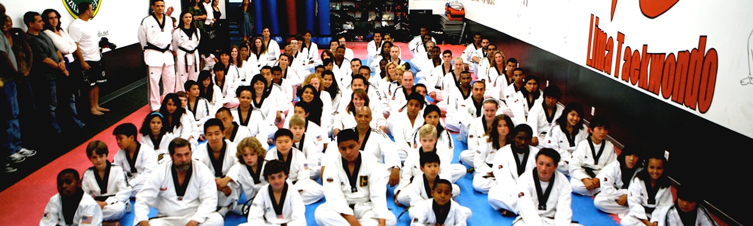 Lima Taekwondo & Brazilian Jiu Jitsu Academy logo