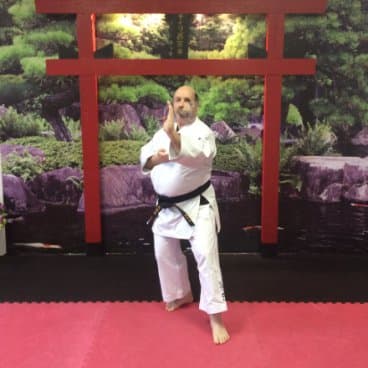 Lindsay Martial Arts Academy logo