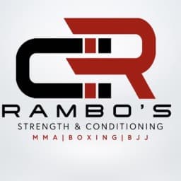 LIV 13 BJJ logo