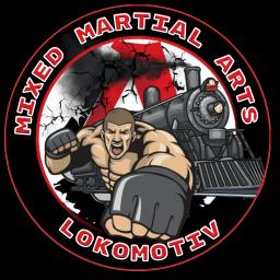 Lokomotiv MMA Kozyatyn logo