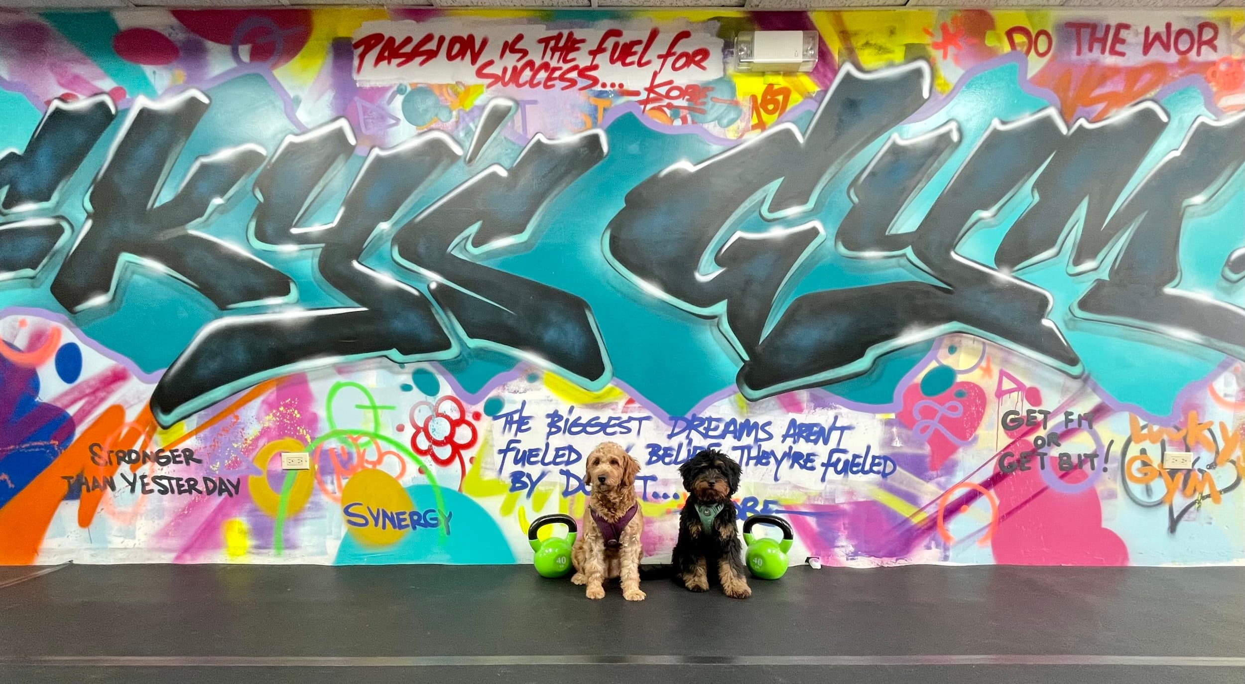 Main image of Lucky’s Gym