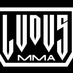 LUDUS MMA MICHOACÁN logo