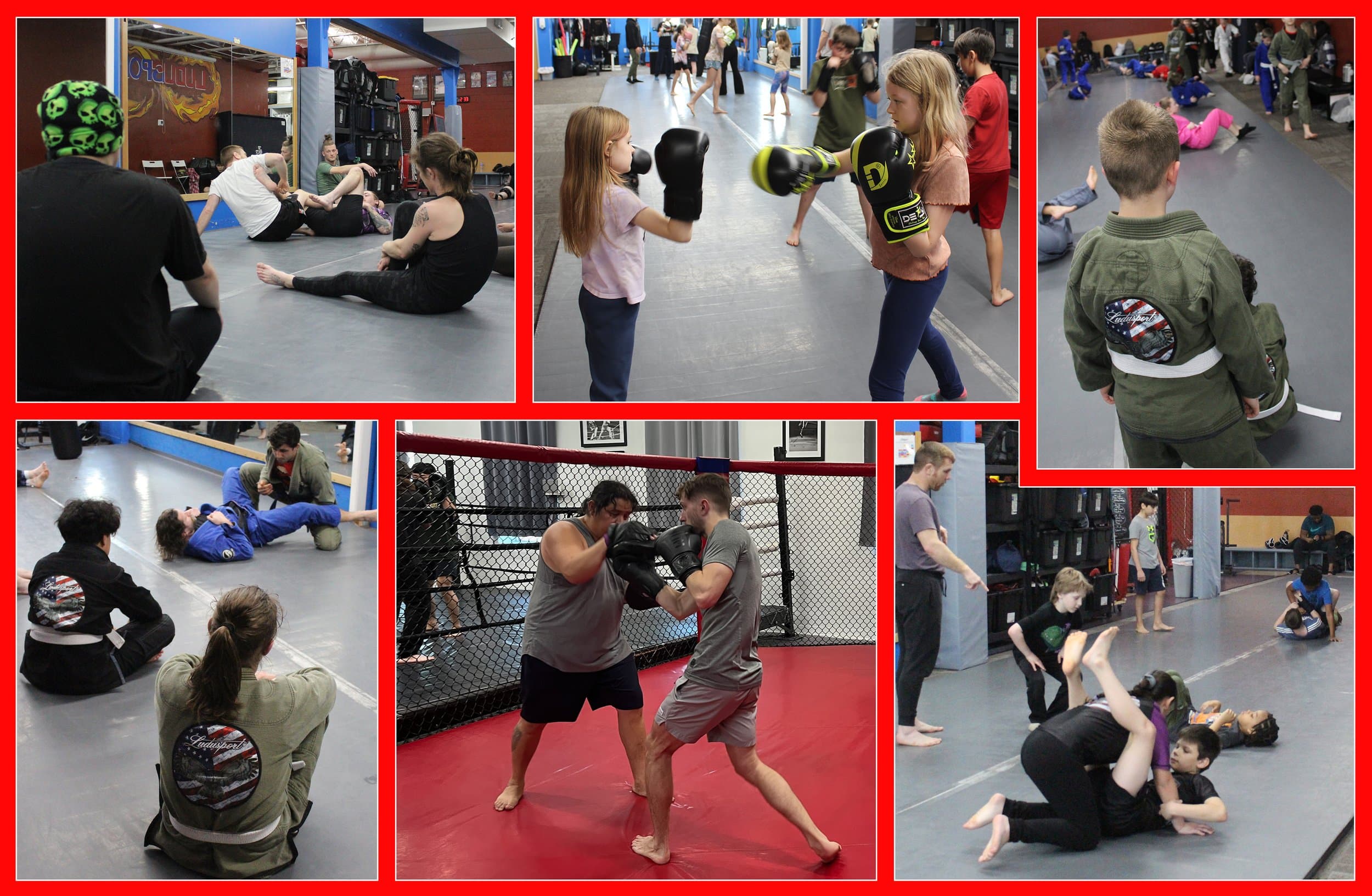 Main image of Ludusport Academy & Gym