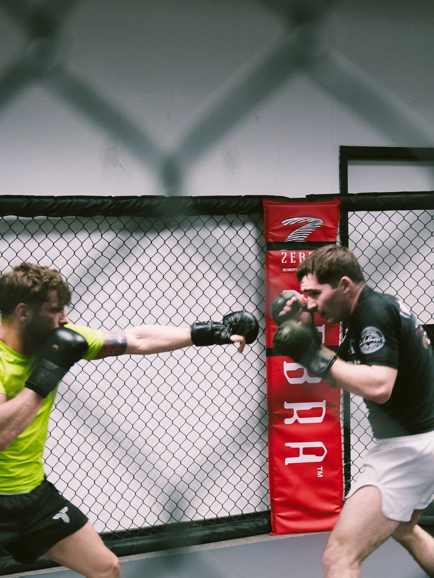 Main image of Lumber City Combat Sports