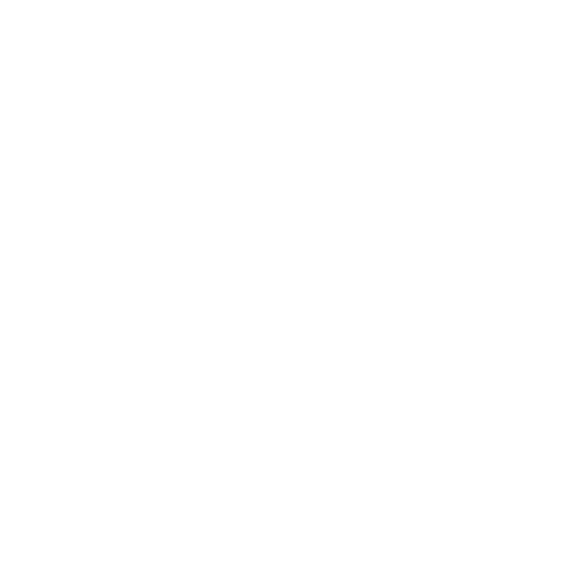LVLZ BOXING logo