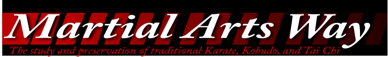 Main image of Martial Arts Way