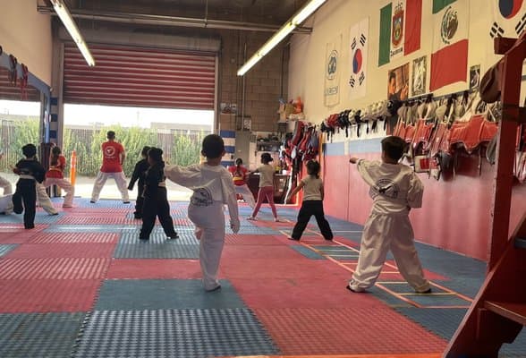 Master Hernandez Tae Kwon Do logo