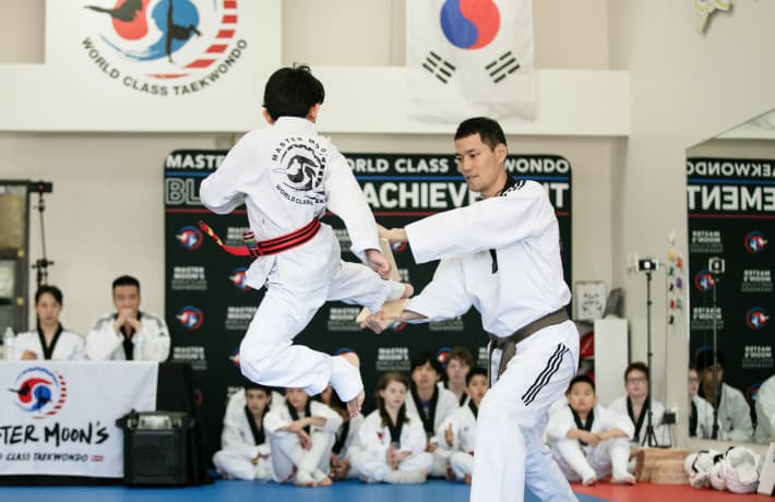 Master Moon’s World Class Taekwondo logo