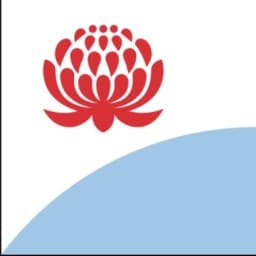 Masters Boxing NSW logo