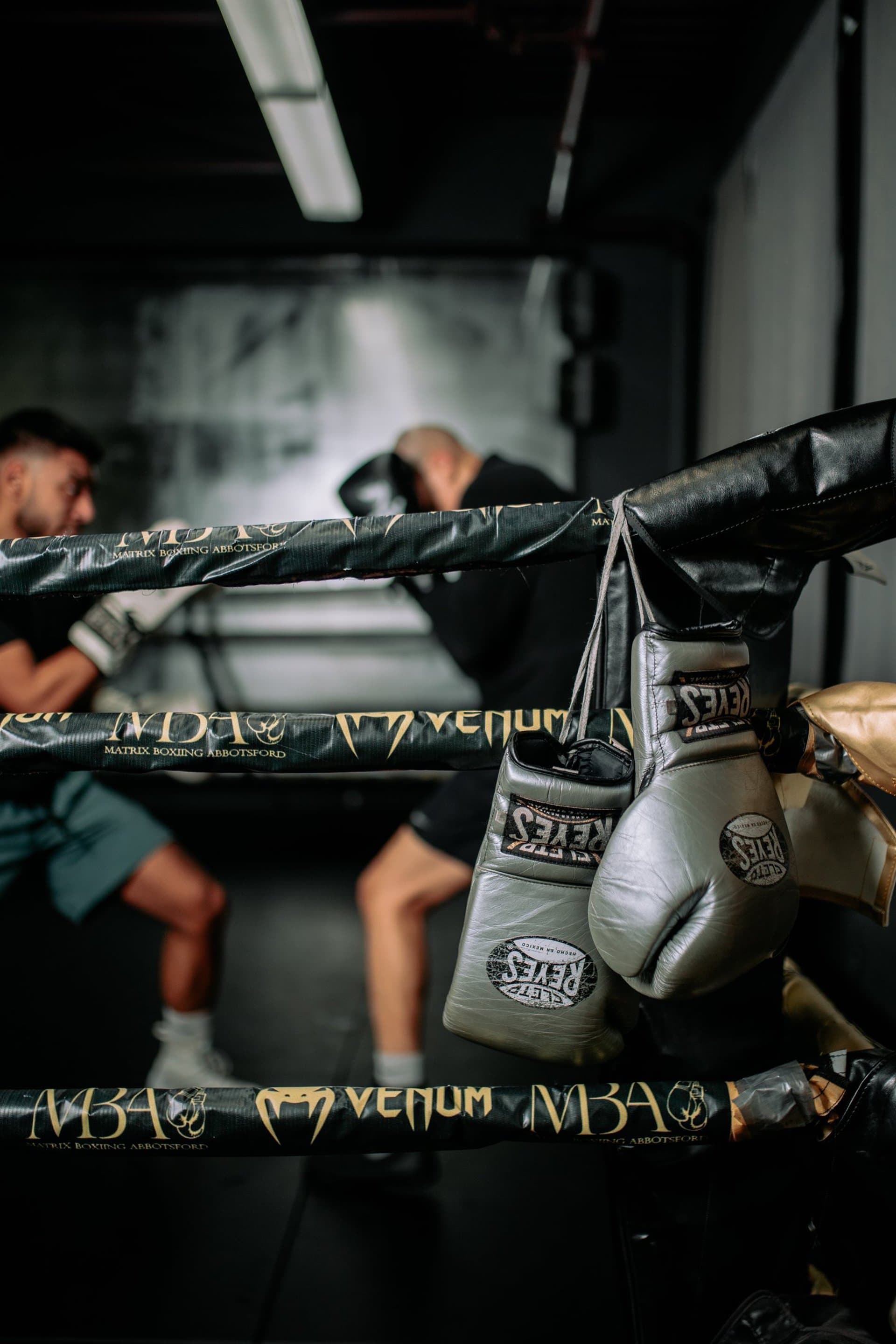 Main image of Matrix Boxing