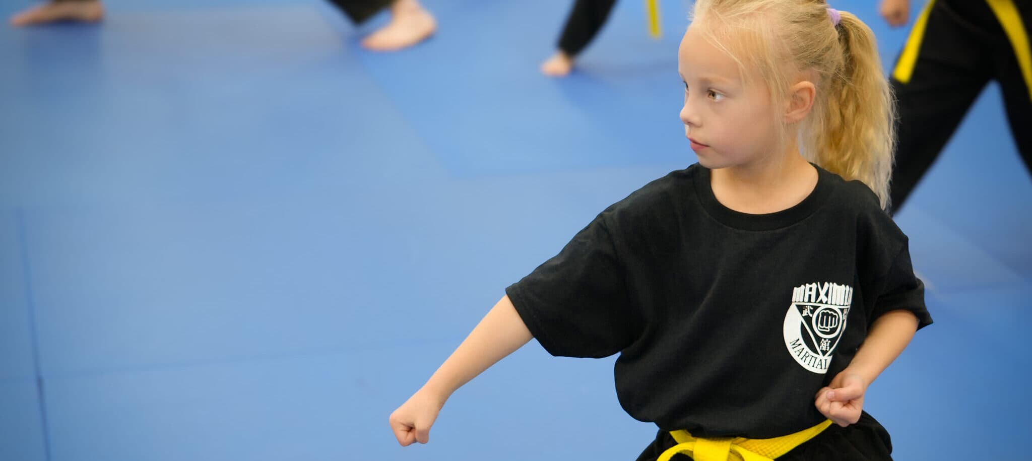 Main image of Maximum Martial Arts University
