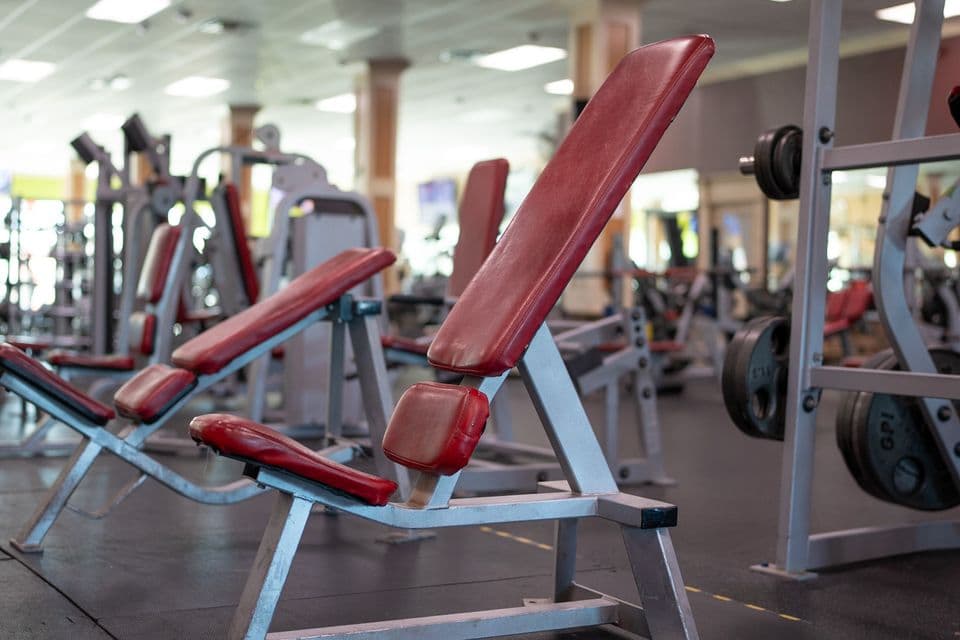 Main image of Maximus Health + Fitness