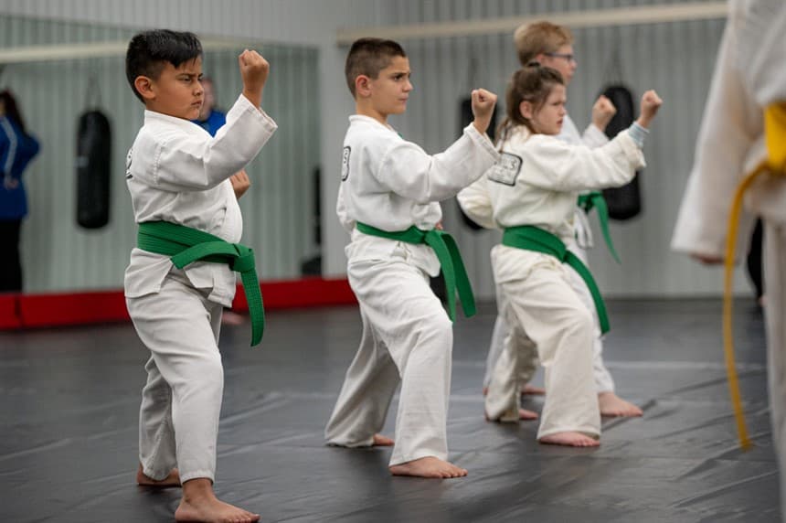 Main image of Maxwell's Tae Kwon DO
