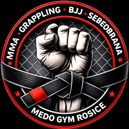 Medo Gym Rosice logo