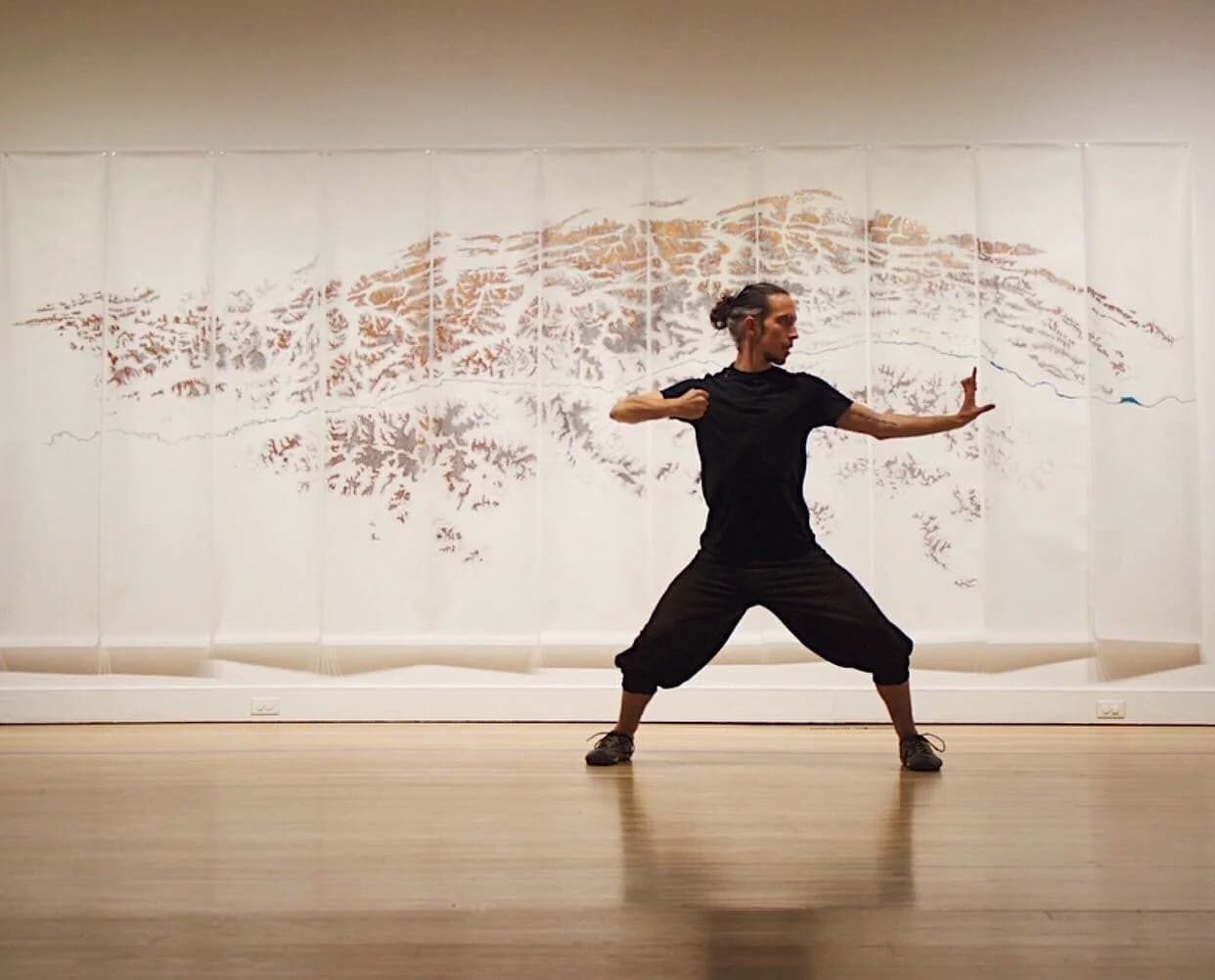 Main image of Meraki Kungfu