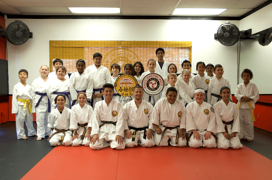 Main image of Mires Martial Arts