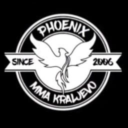 MMA Team Phoenix logo