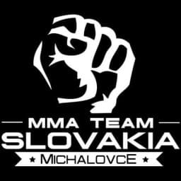 MMA Team Slovakia Michalovce logo