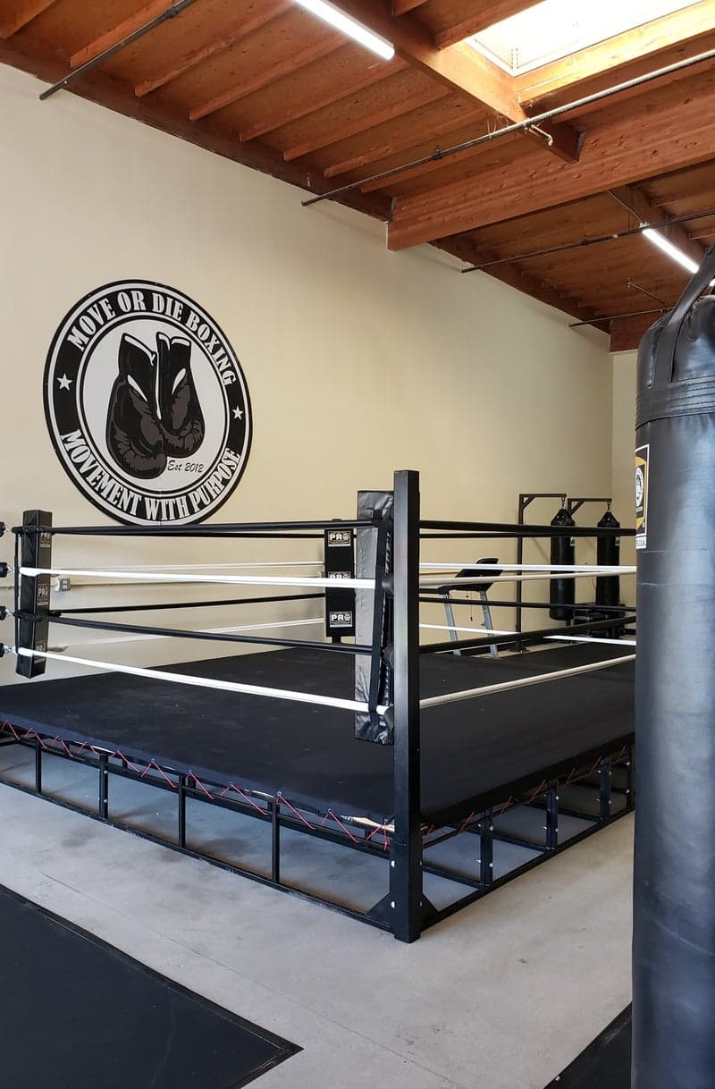 Main image of Move or Die Boxing