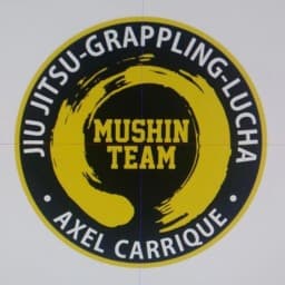 MUSHIN TEAM logo