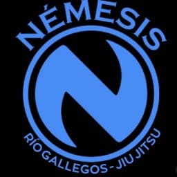 Nemesis jiujitsu logo