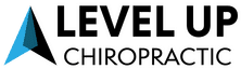 New Life Brazilian Jiu Jitsu Academy logo