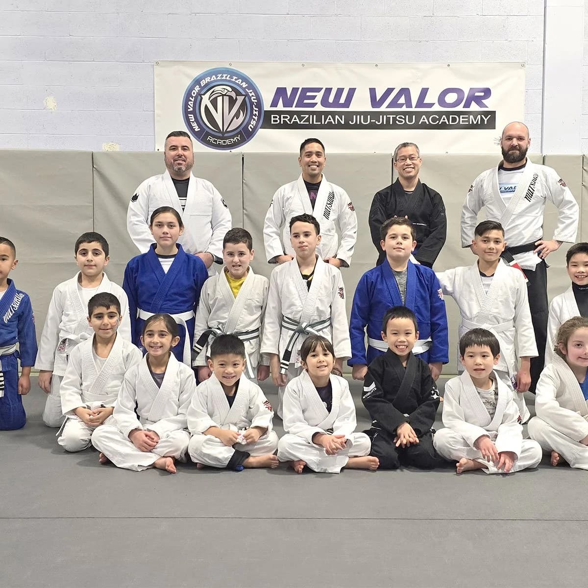 New Valor Brazilian Jiu-Jitsu Academy logo