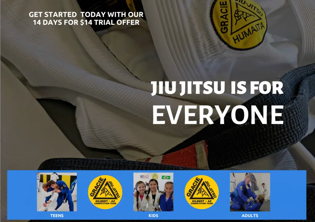 Next Level Krav Maga Gilbert, Kickboxing, Taekwondo, Kids Karate, Brazilian Jiu-Jitsu, Self Defense logo
