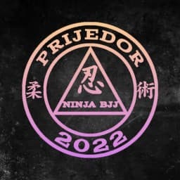Ninja bjj logo