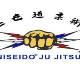 Niseido Ju Jitsu logo