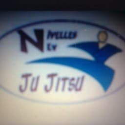 Nivelles new ju jitsu logo