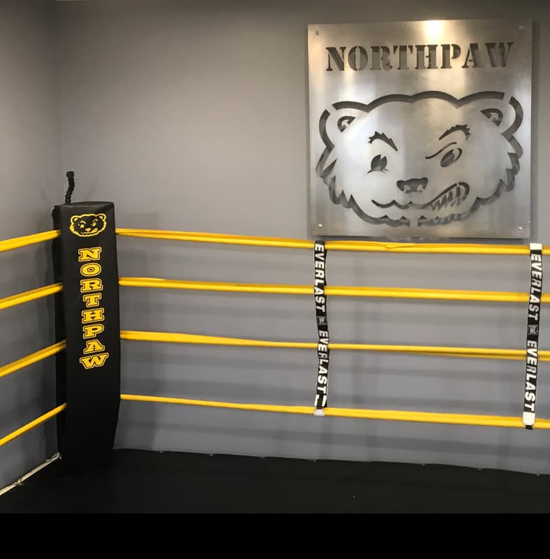 Main image of Northpaw Boxing