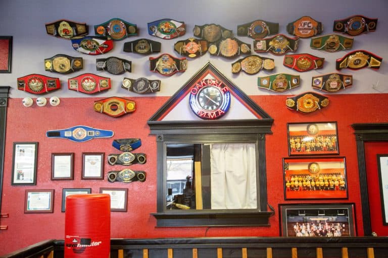 Main image of Oakdale Mixed Martial Arts