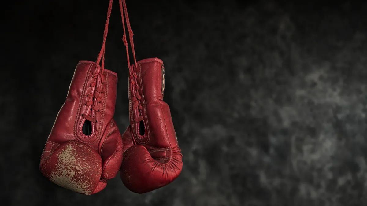 Main image of Ocala Boxing Academy & Fitness