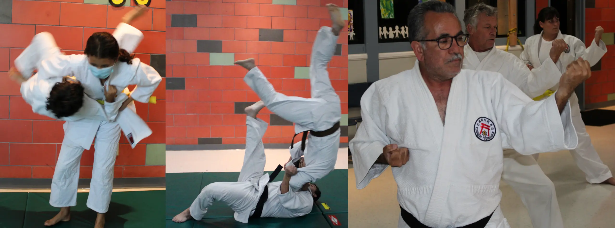Main image of Okinawa Karate Shōrin-Ryū