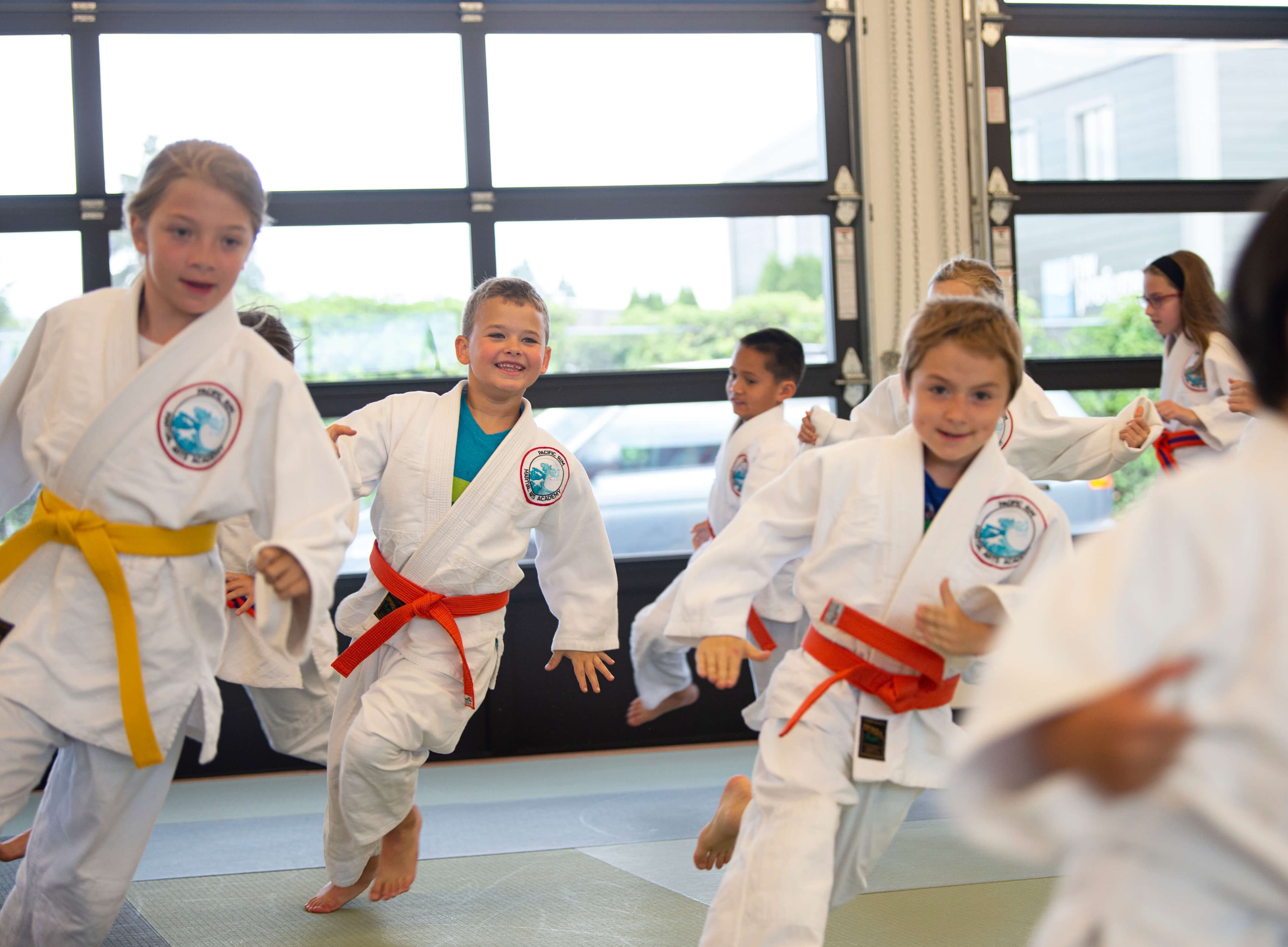 Main image of Pacific Rim Martial Arts Academy