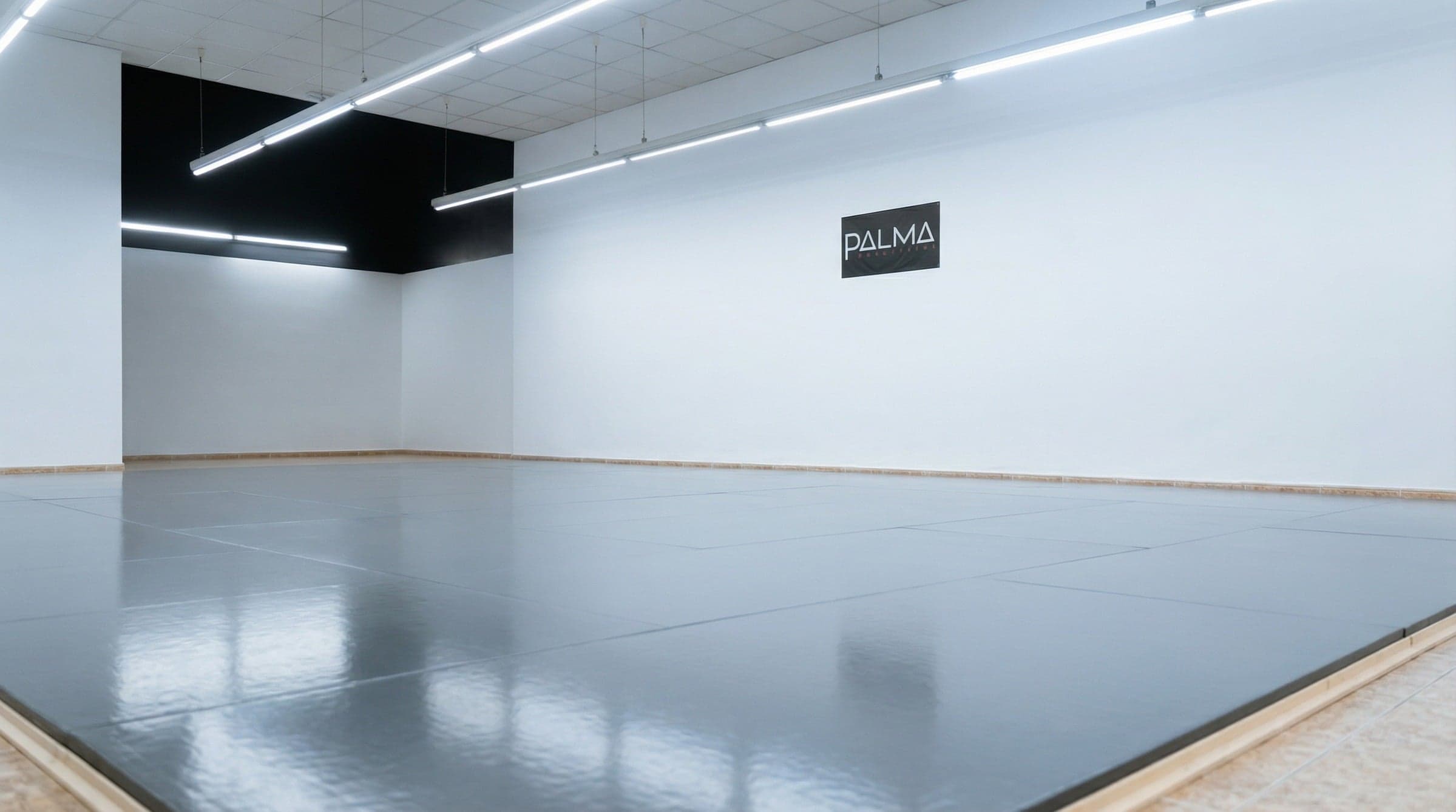 Main image of PALMA BJJ ACADEMY