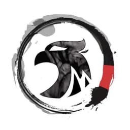 Paradigm bjj/mma logo