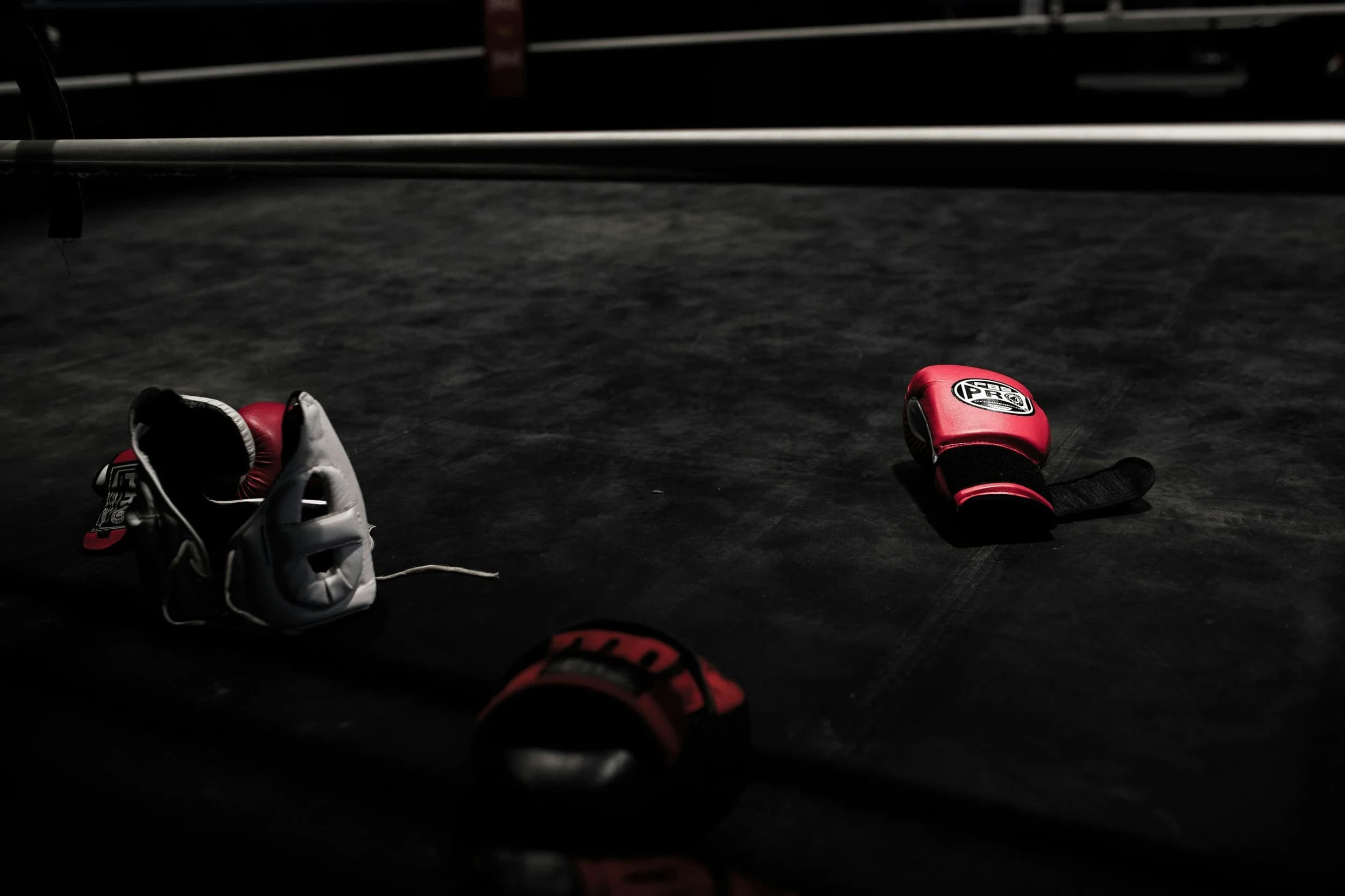 Main image of Paradise Boxing Club and Fitness