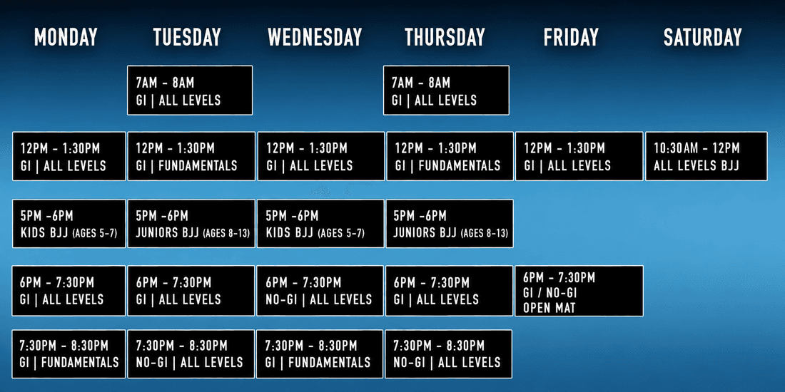 Main image of Paragon Jiu-Jitsu Academy Austin