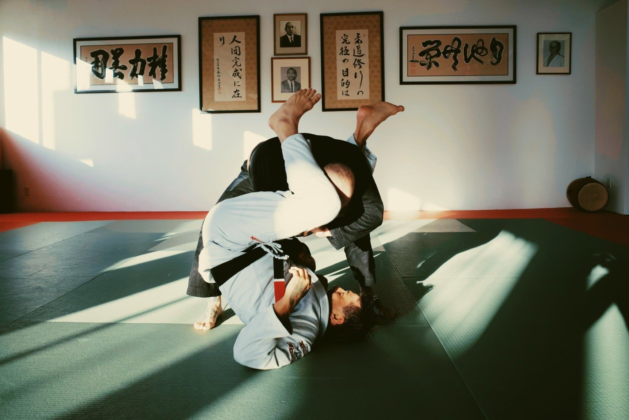 Parkside Jiujitsu logo
