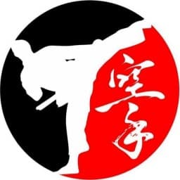 Partida Karate Academy logo