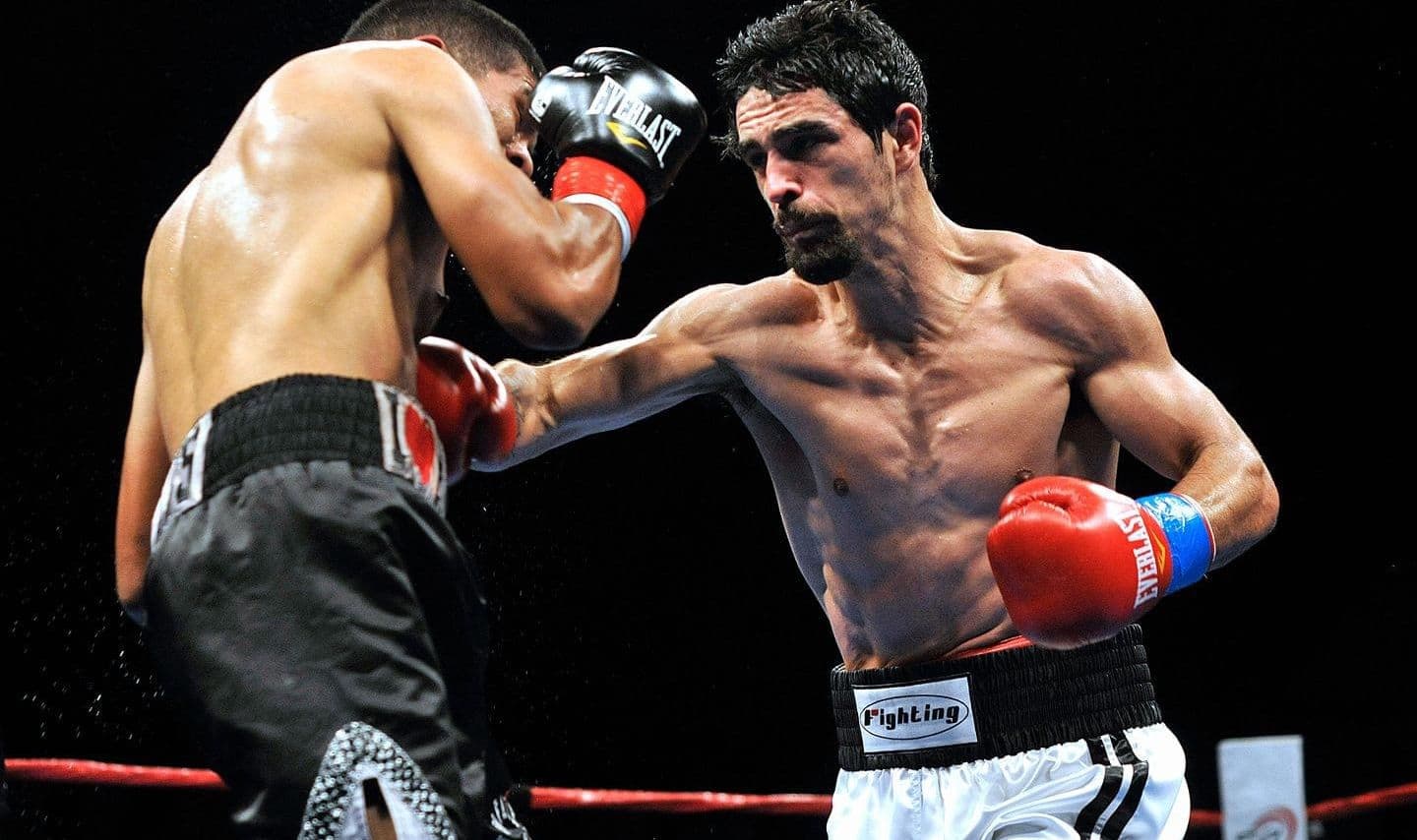 Main image of Paulie Boxing