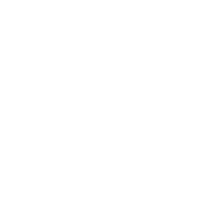 Paulie Boxing logo